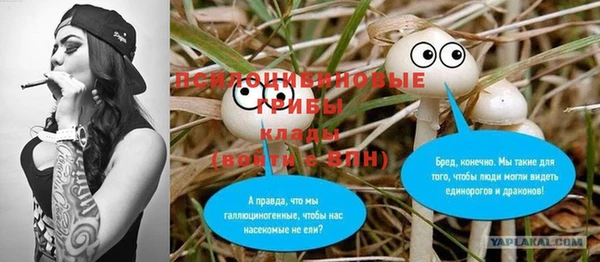 дживик Зеленодольск